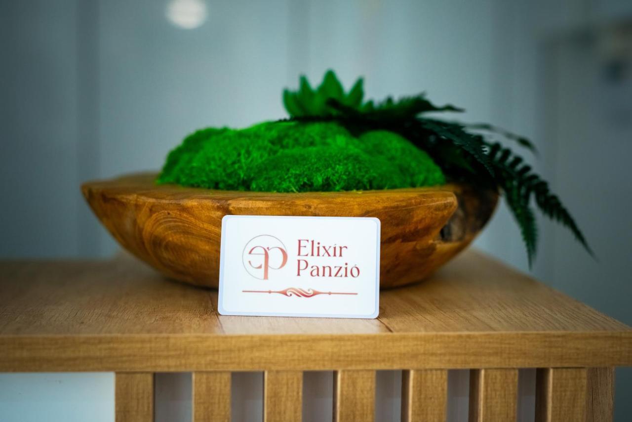 Bed and Breakfast Elixir Panzio Ньирбатор Экстерьер фото